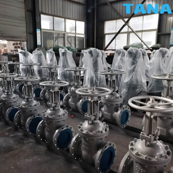 Gost Standard Gate Valve Manufacturers & Suppliers - Wenzhou Topnotch ...